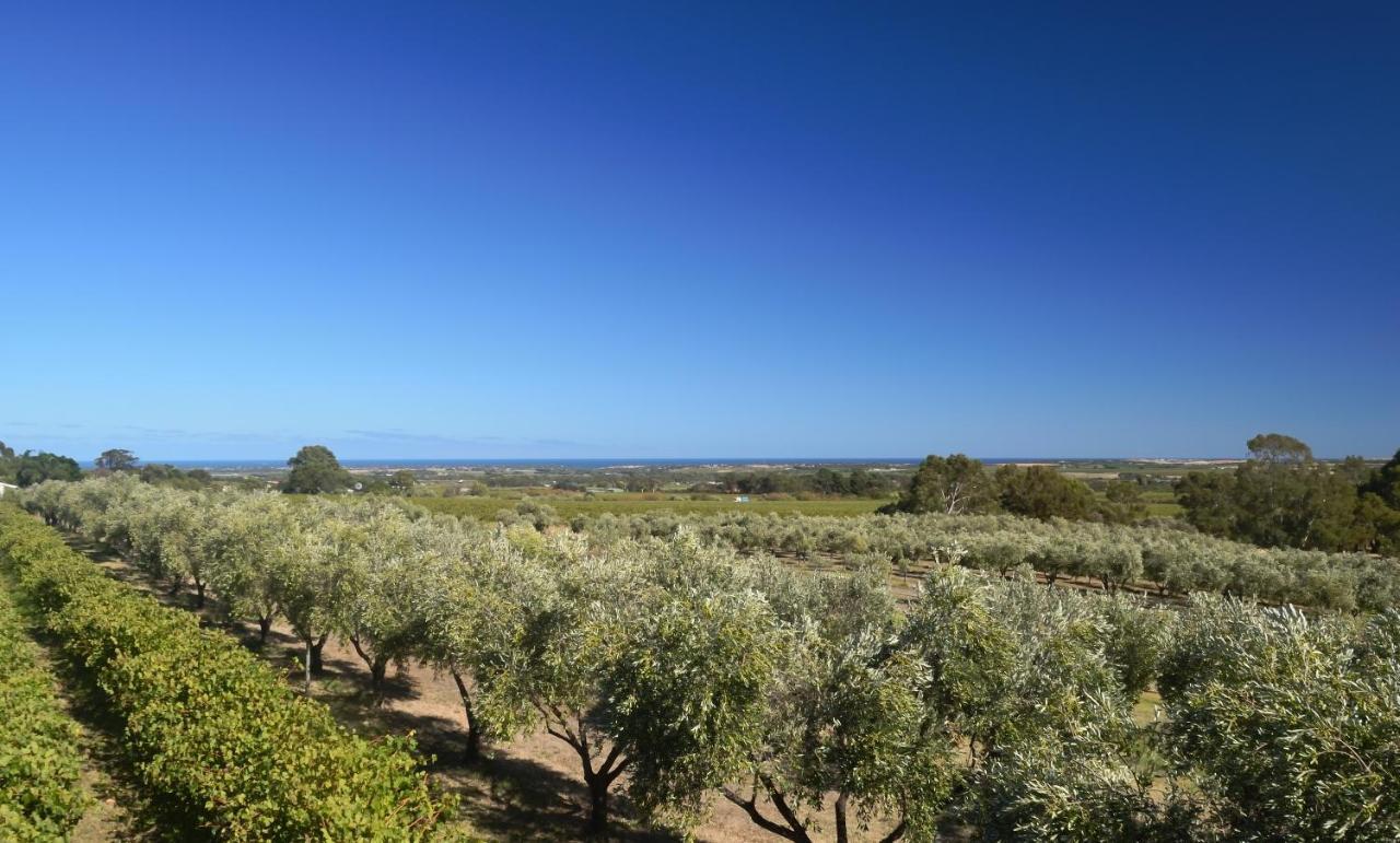 威朗加农场住宿加早餐旅馆 Willunga 外观 照片