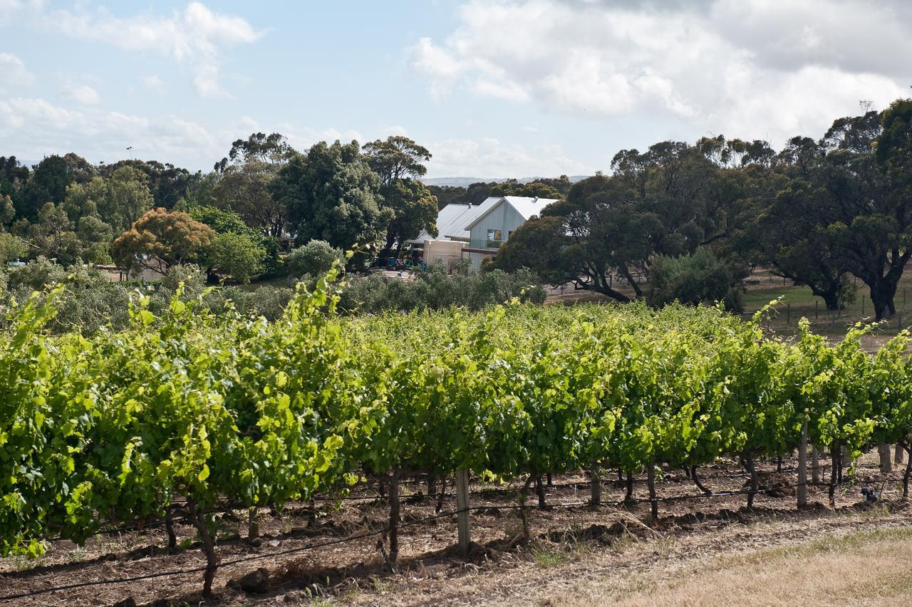 威朗加农场住宿加早餐旅馆 Willunga 外观 照片