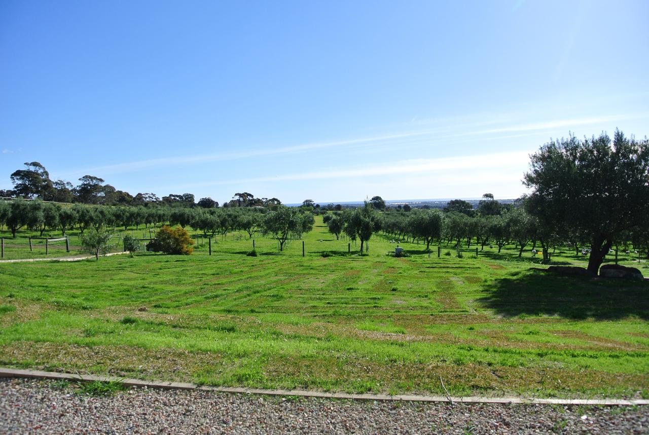威朗加农场住宿加早餐旅馆 Willunga 外观 照片