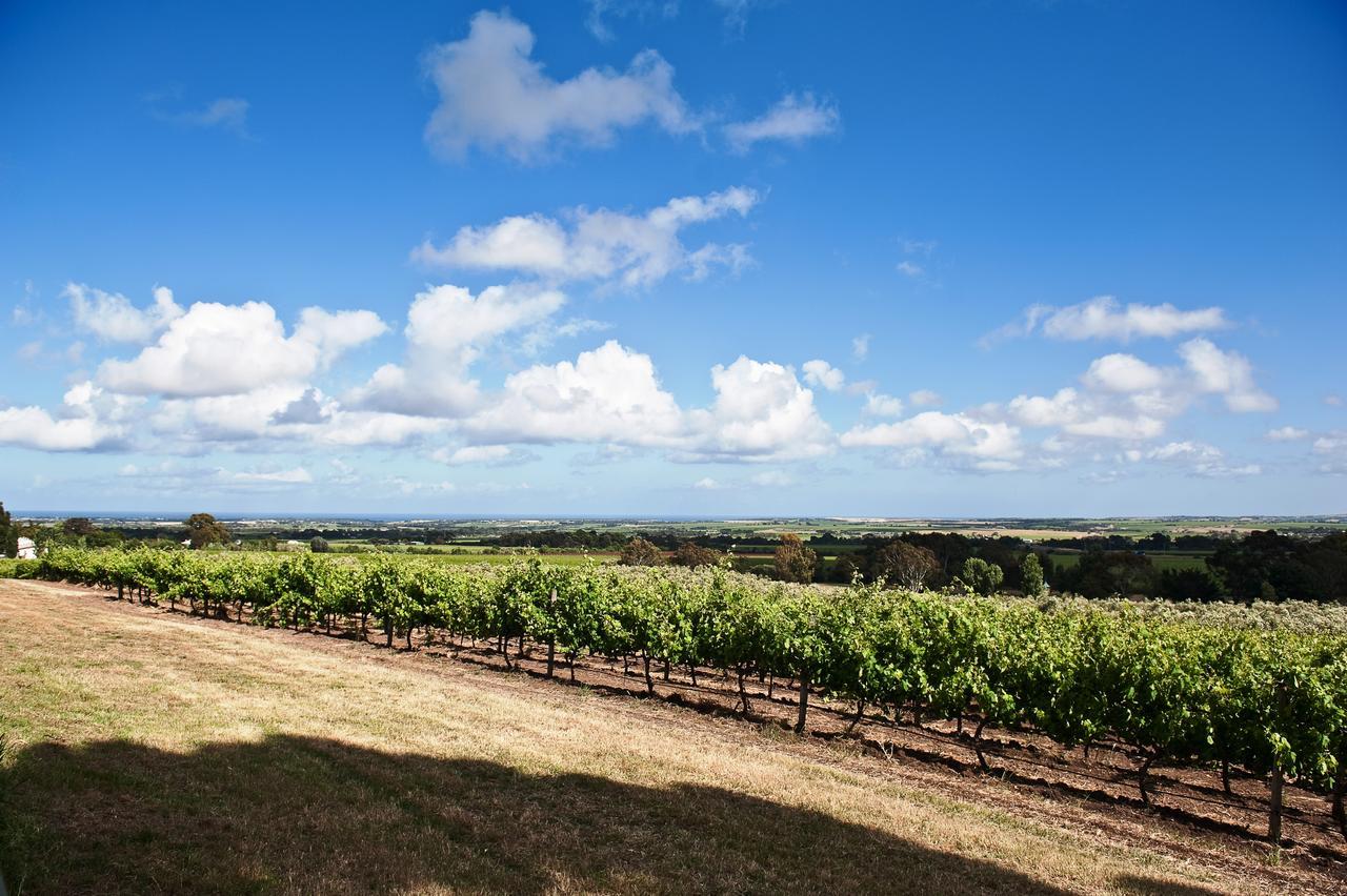威朗加农场住宿加早餐旅馆 Willunga 外观 照片
